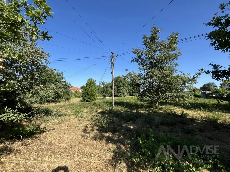 Terreno para Venda em Orgens Foto 5