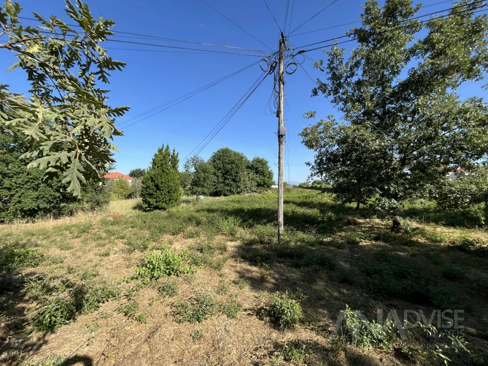 Terreno para Venda em Orgens Foto 16