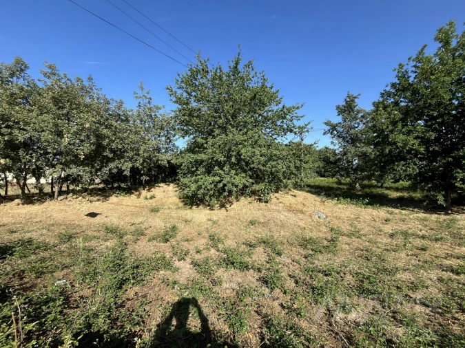 Terreno para Venda em Orgens