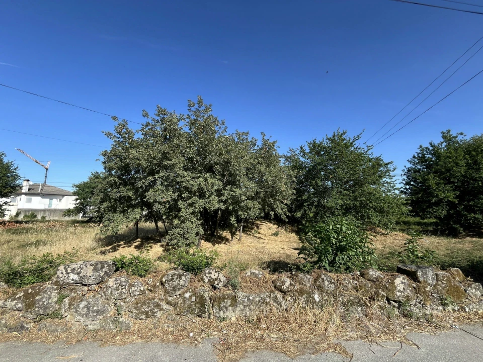 Terreno para Venda em Orgens Foto 3