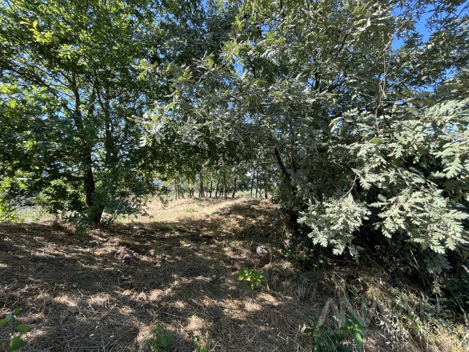 Terreno para Venda em Orgens Foto 10