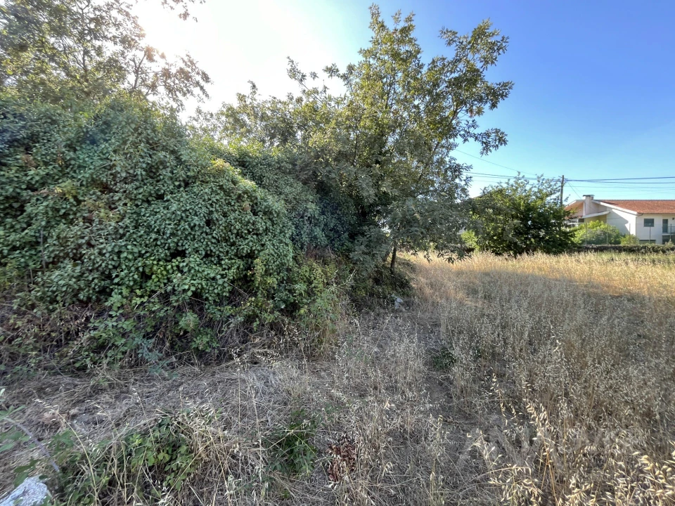 Terreno para Venda em Orgens Foto 19