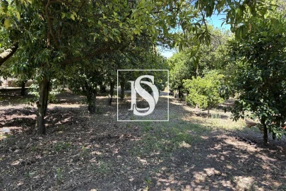 Terreno para Venda em Santiago de Besteiros
