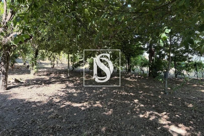 Terreno para Venda em Santiago de Besteiros