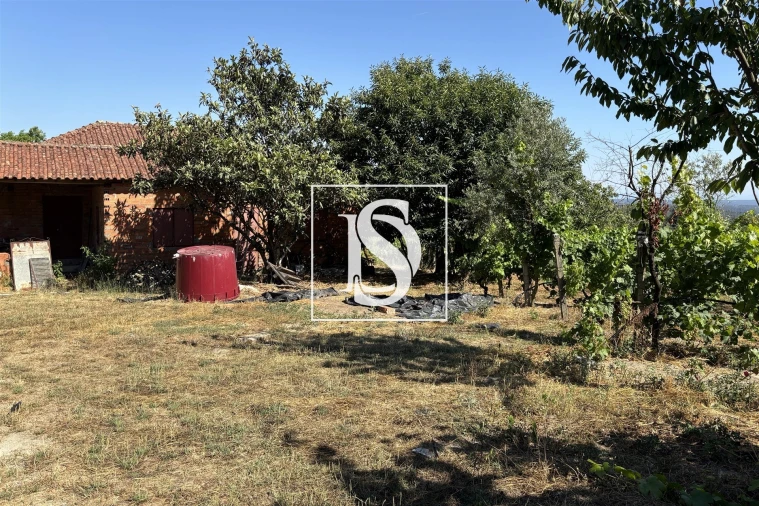 Terreno para Venda em Santiago de Besteiros Foto 19
