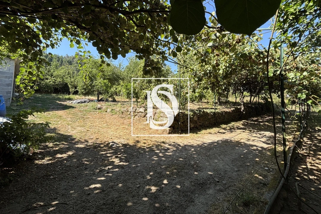 Terreno para Venda em Santiago de Besteiros Foto 1