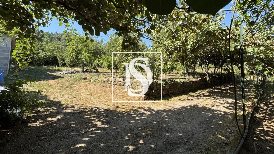 Terreno para Venda em Santiago de Besteiros