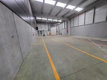 Armazém para Venda em Gandra e Taião