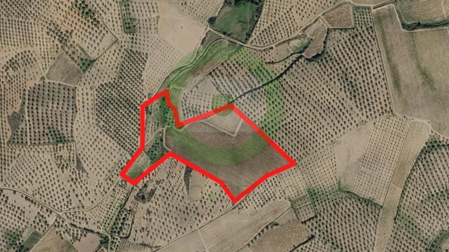 Terreno para Venda em Vale de Salgueiro