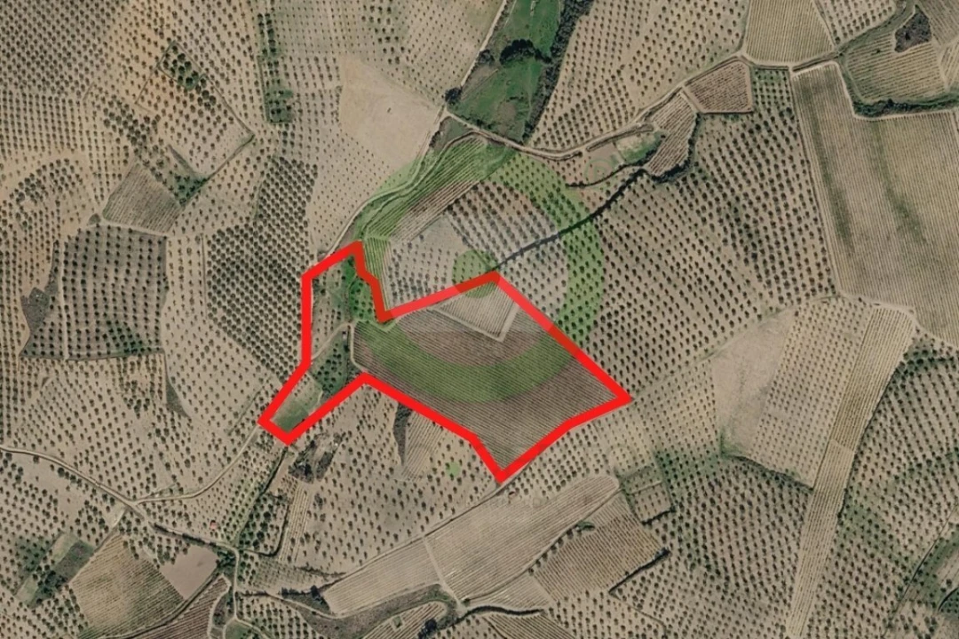 Terreno para Venda em Vale de Salgueiro Foto 1