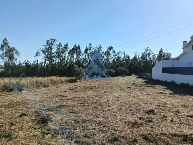 Terreno para Venda em Pombal Foto 5