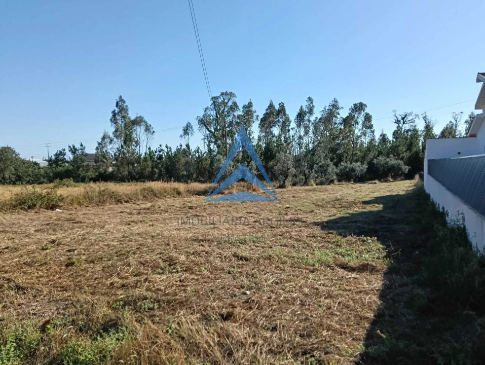 Terreno para Venda em Pombal Foto 6