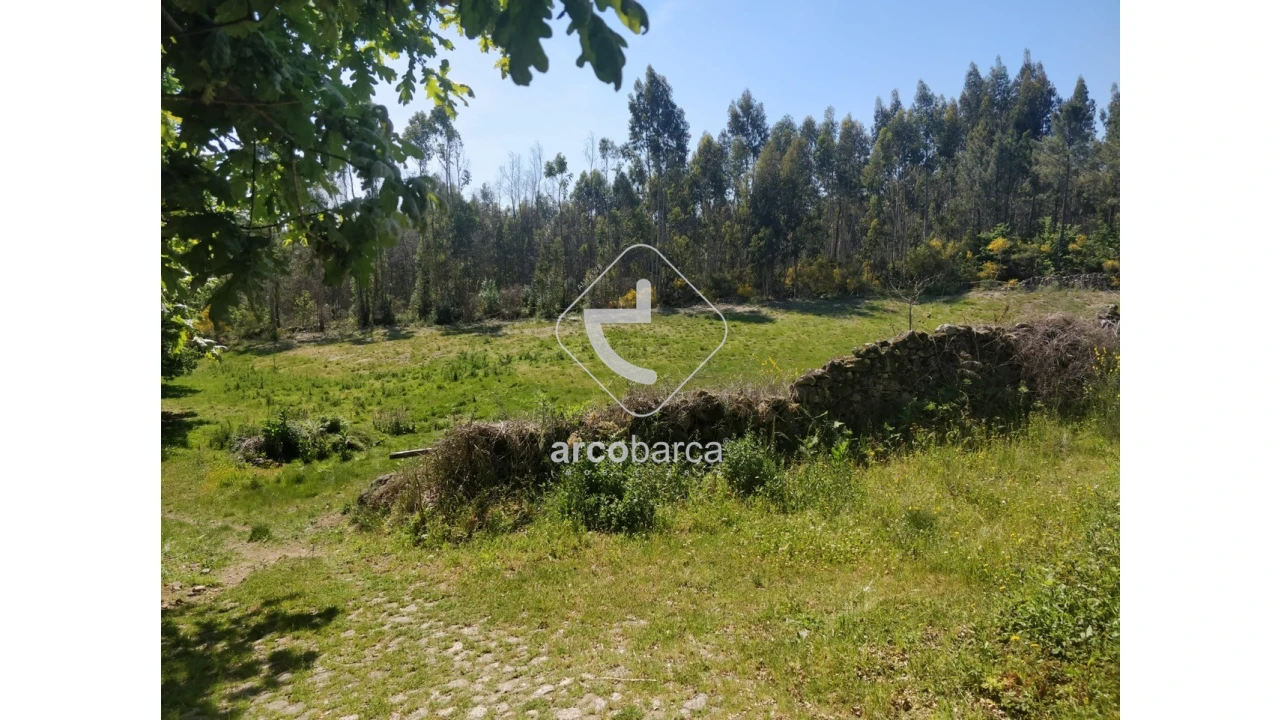 Terreno para Venda em Cossourado e Linhares Foto 9