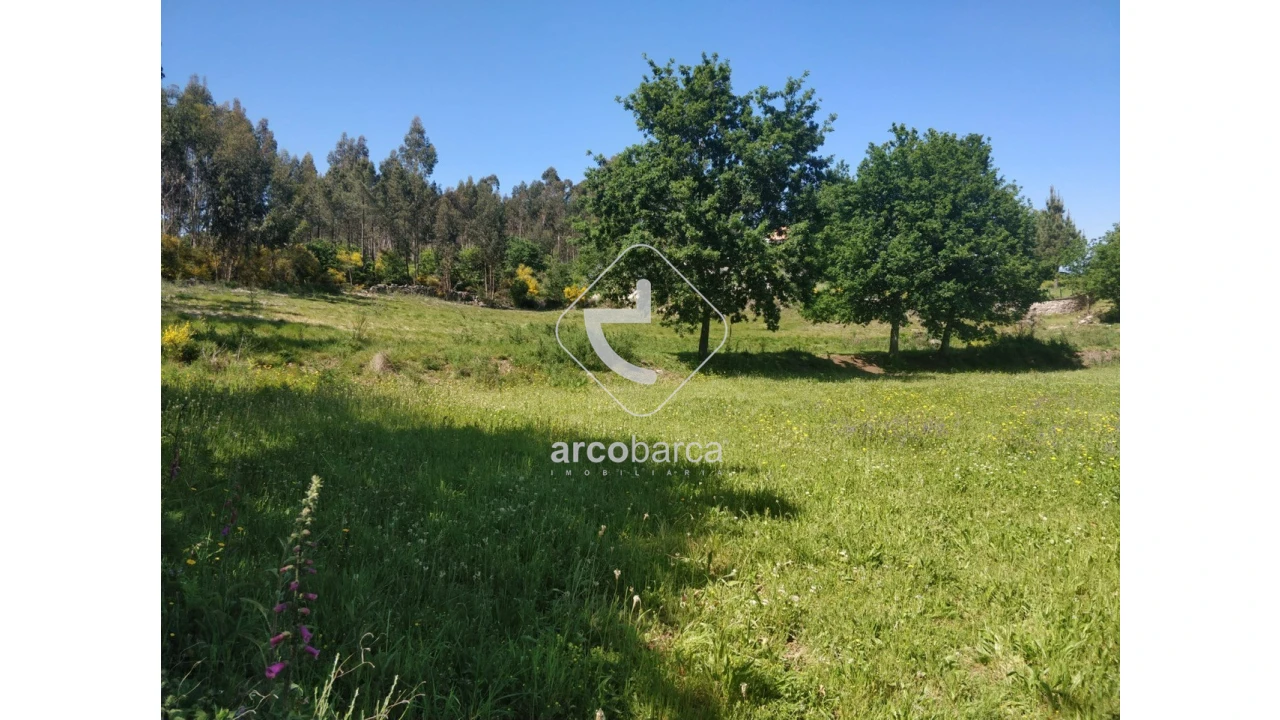 Terreno para Venda em Cossourado e Linhares Foto 3