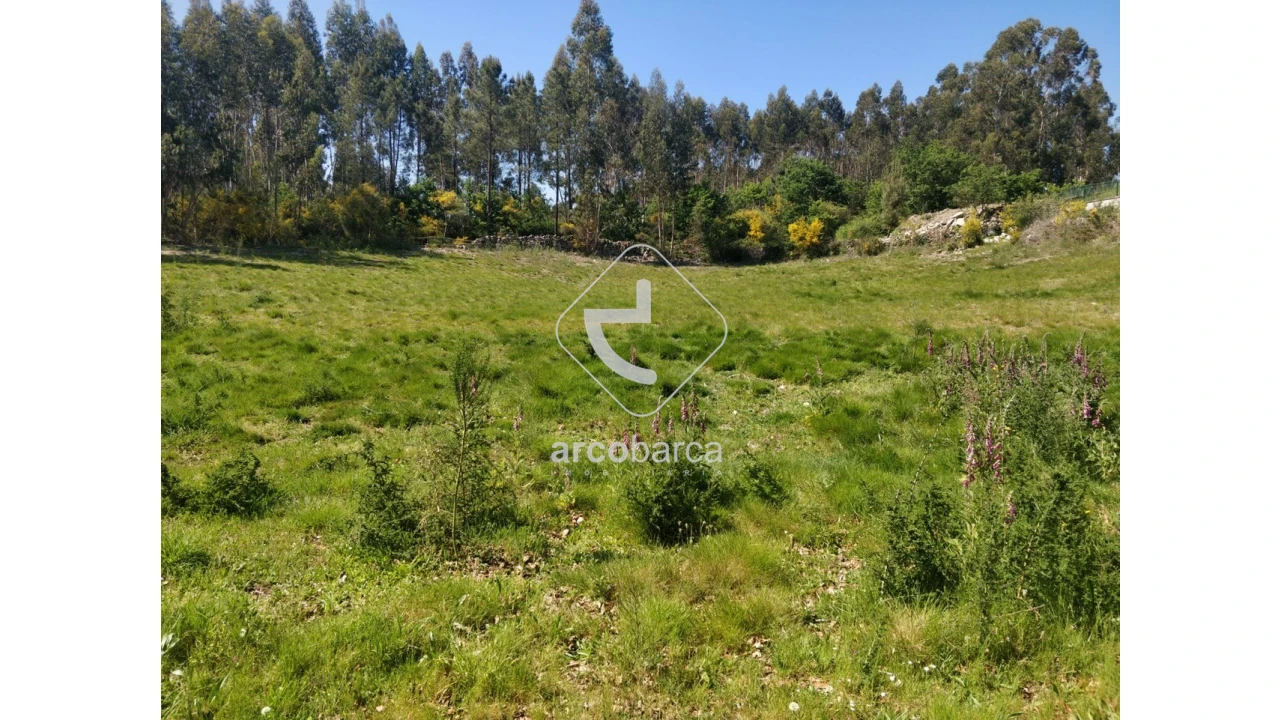 Terreno para Venda em Cossourado e Linhares Foto 11