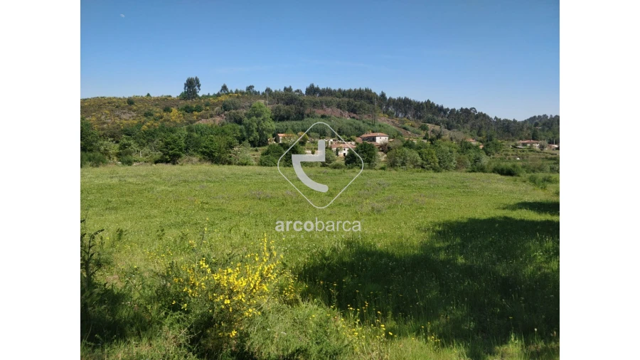 Terreno para Venda em Cossourado e Linhares Foto 5