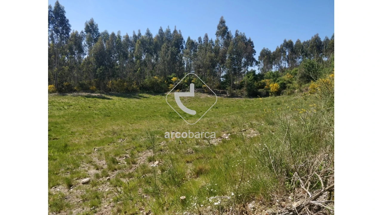 Terreno para Venda em Cossourado e Linhares Foto 12