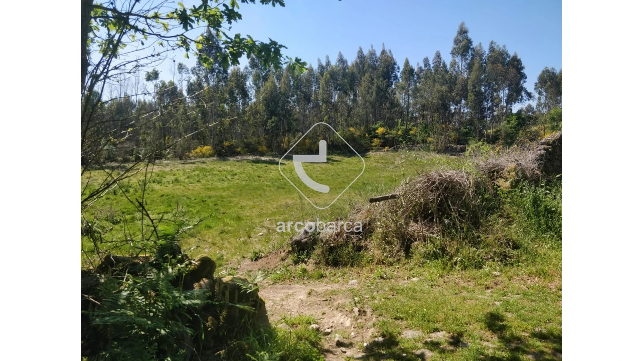 Terreno para Venda em Cossourado e Linhares Foto 4