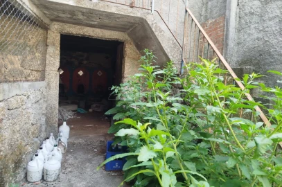 Moradia T8 para Venda em Currelos, Papízios e Sobral