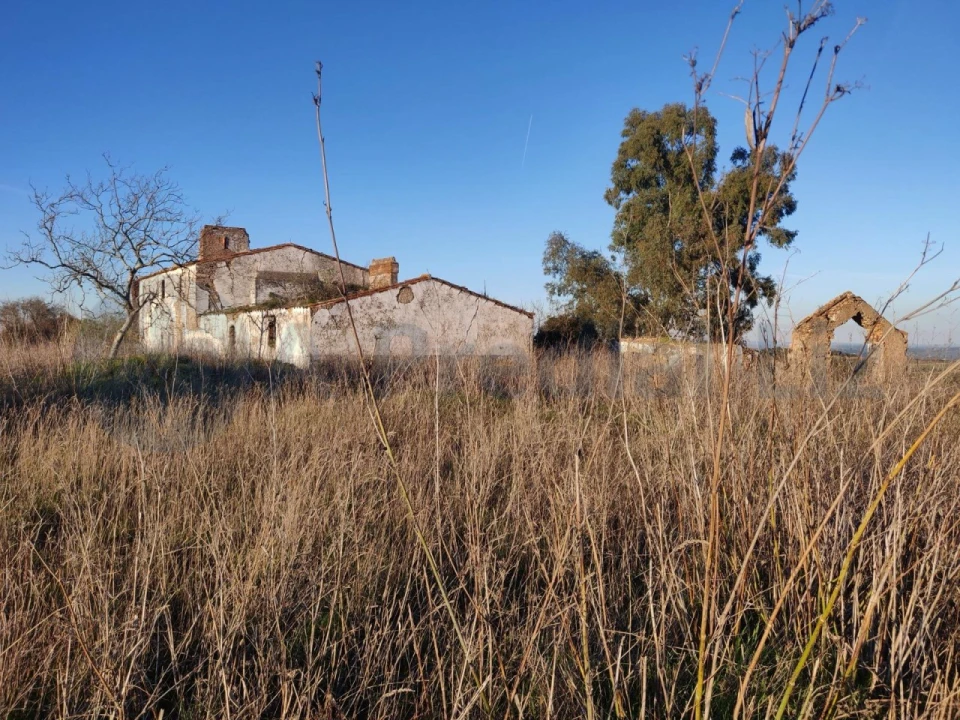 Terreno Agricola ou Rústico para Venda em Estremoz (Santa Maria e Santo André) Foto 5