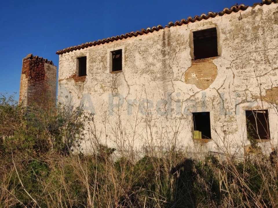Terreno Agricola ou Rústico para Venda em Estremoz (Santa Maria e Santo André) Foto 6
