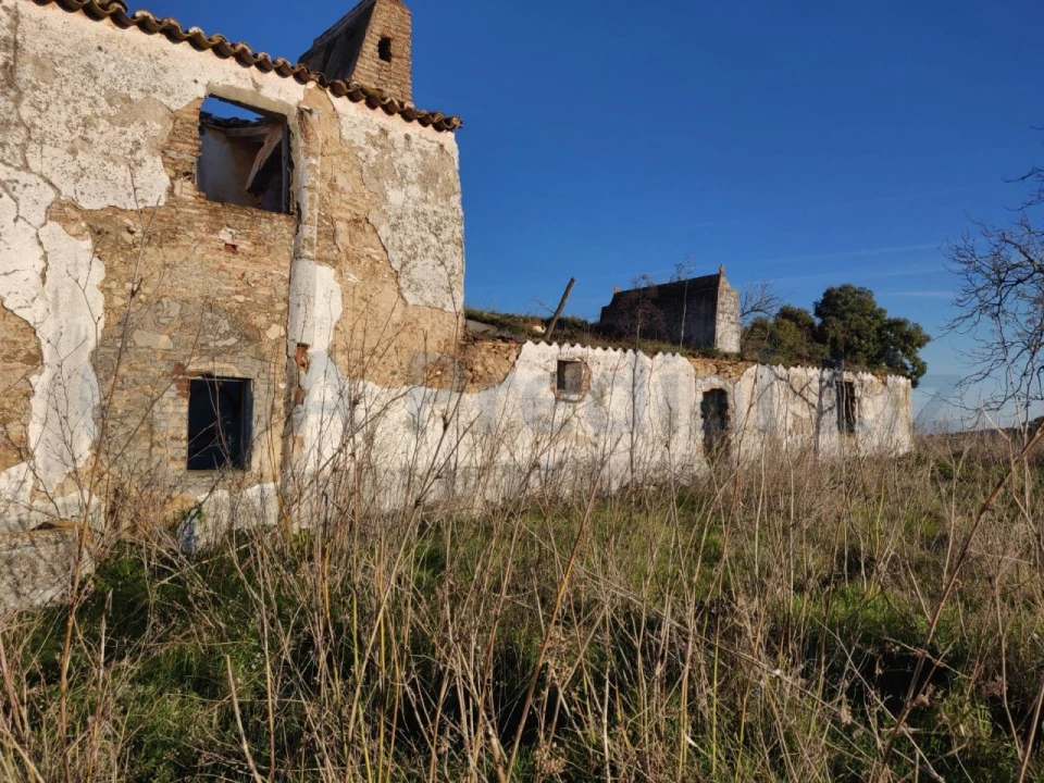 Terreno Agricola ou Rústico para Venda em Estremoz (Santa Maria e Santo André) Foto 7