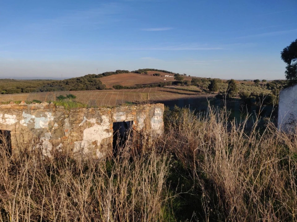 Terreno Agricola ou Rústico para Venda em Estremoz (Santa Maria e Santo André) Foto 8