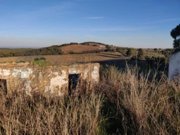 Terreno Agricola ou Rústico para Venda em Estremoz (Santa Maria e Santo André)