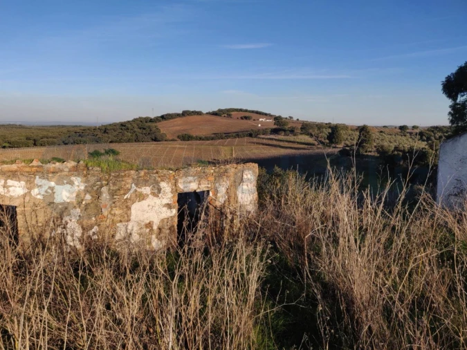 Terreno Agricola ou Rústico para Venda em Estremoz (Santa Maria e Santo André) Foto 8