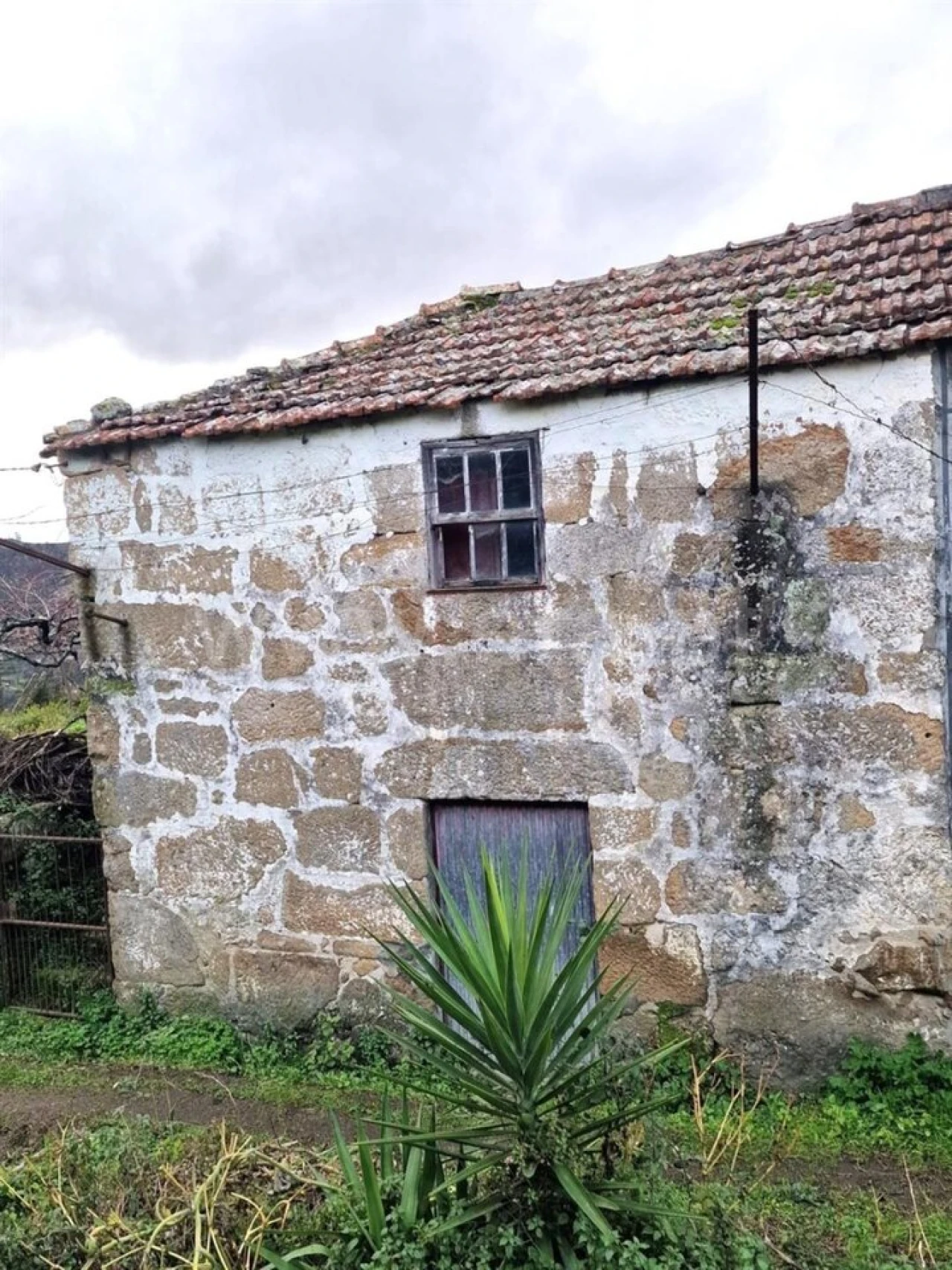 Moradia T1 para Venda em Santa Cruz do Douro e São Tomé de Covelas Foto 1