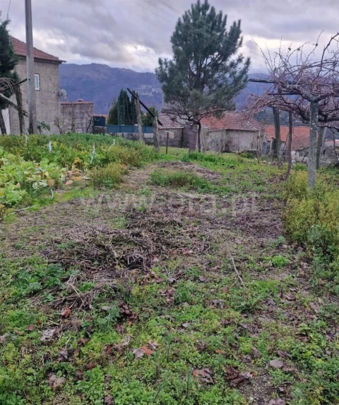 Moradia T1 para Venda em Santa Cruz do Douro e São Tomé de Covelas