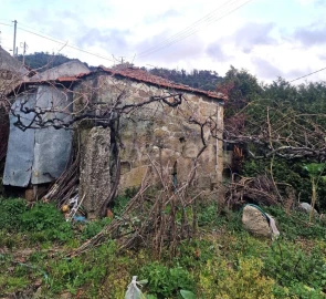 Moradia T1 para Venda em Santa Cruz do Douro e São Tomé de Covelas