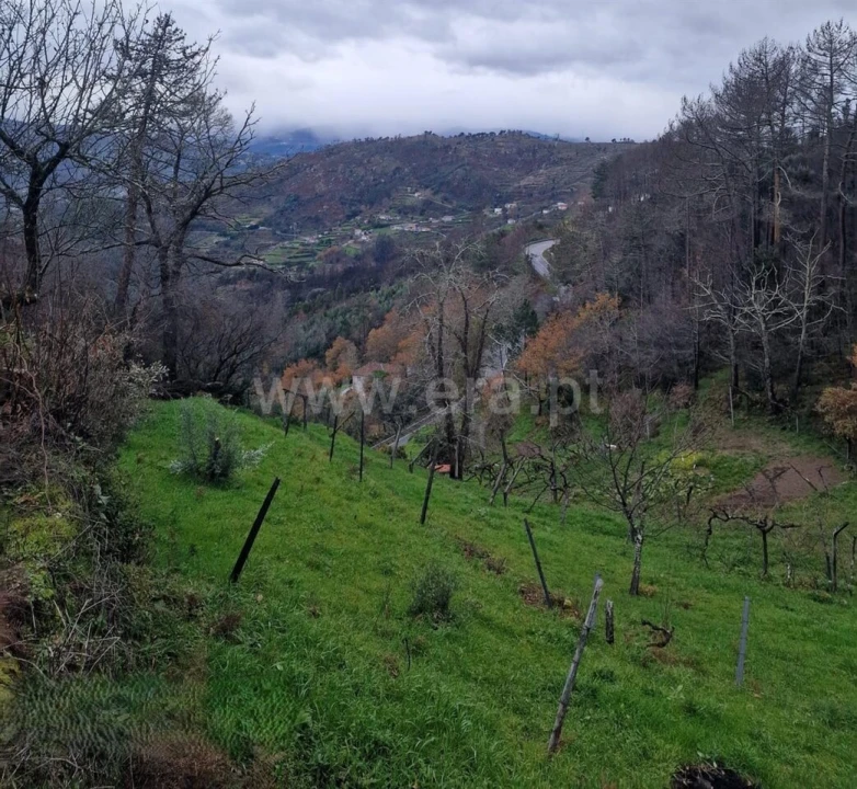 Moradia T1 para Venda em Santa Cruz do Douro e São Tomé de Covelas Foto 3