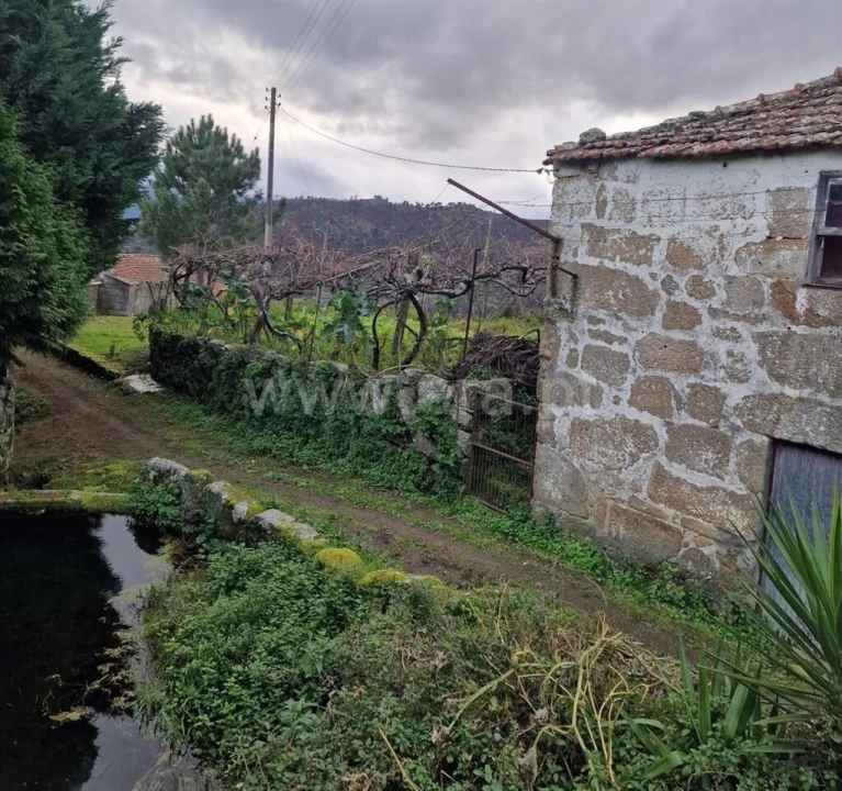 Moradia T1 para Venda em Santa Cruz do Douro e São Tomé de Covelas Foto 5