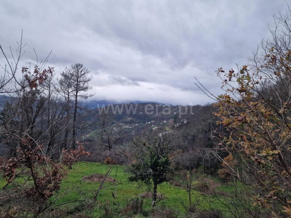 Moradia T1 para Venda em Santa Cruz do Douro e São Tomé de Covelas Foto 4