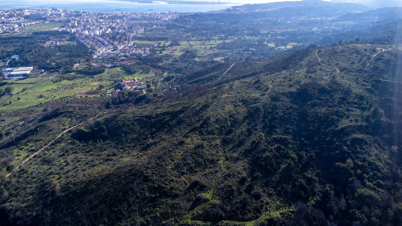 Terreno para Venda em Palmela Foto 10