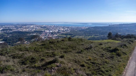 Terreno para Venda em Palmela