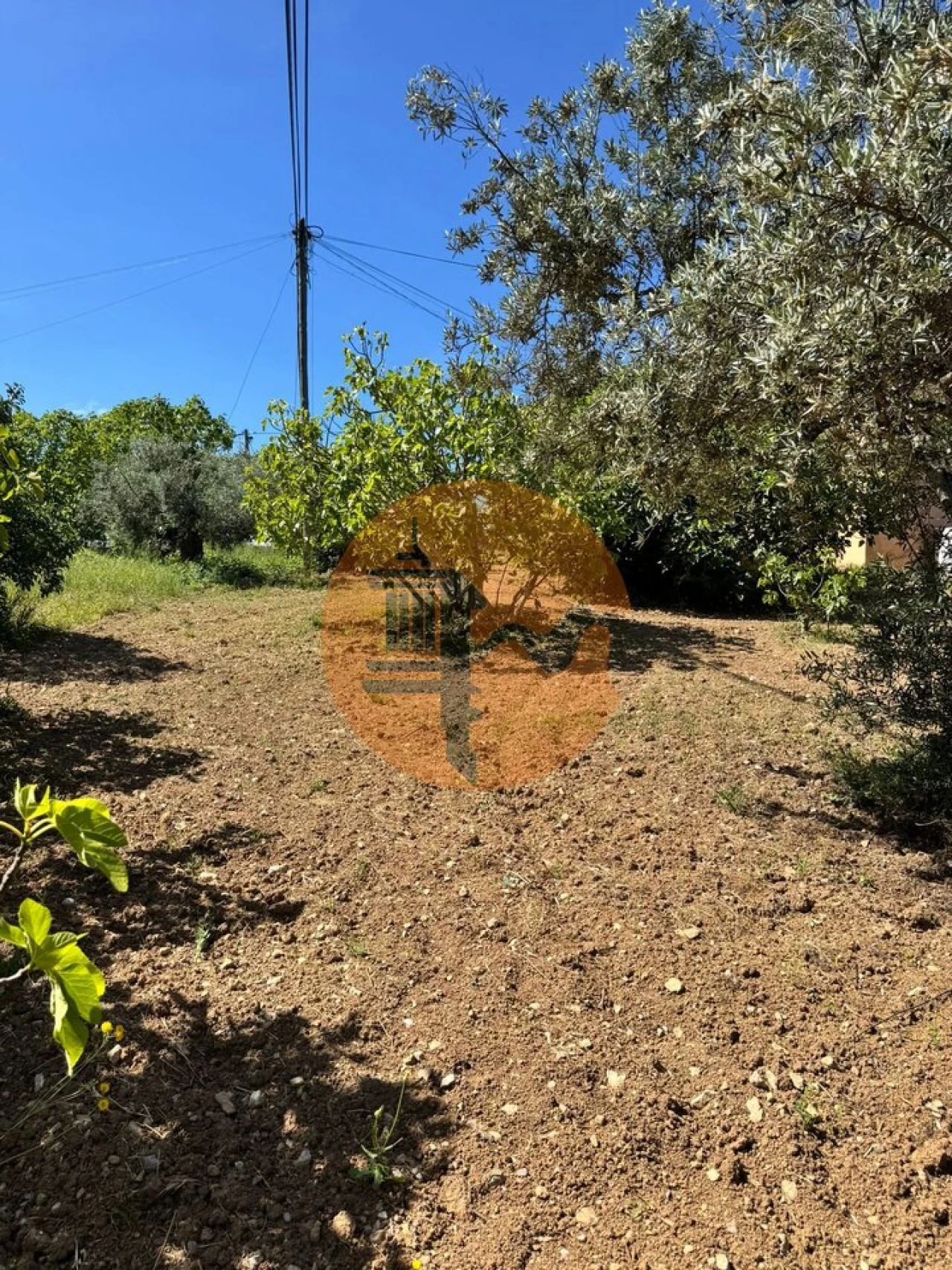 Terreno para Venda em São Brás de Alportel Foto 14