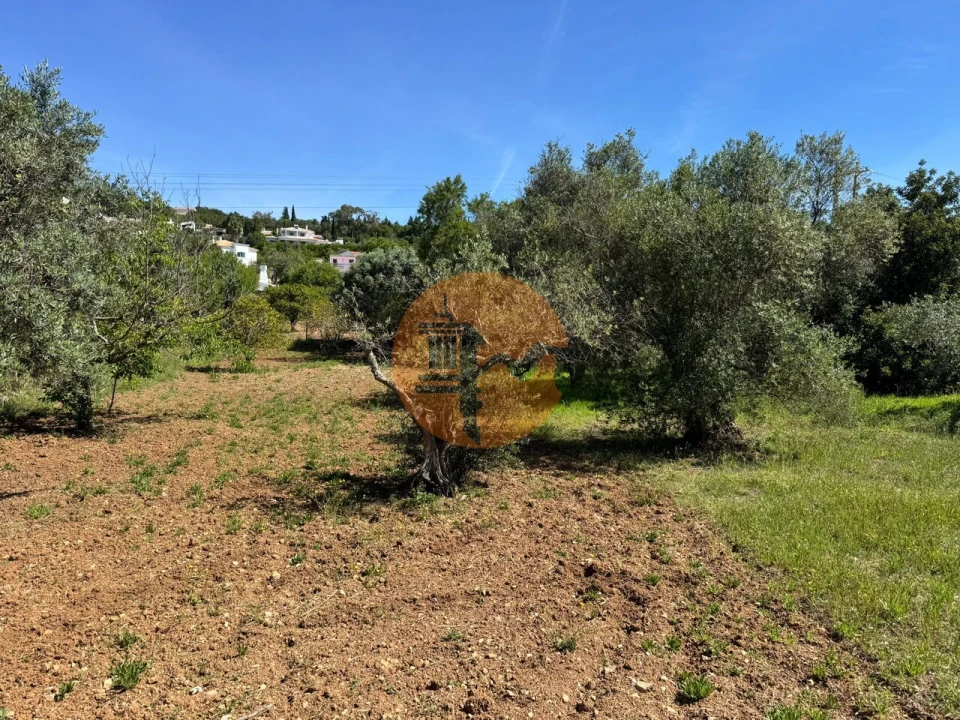 Terreno para Venda em São Brás de Alportel Foto 16