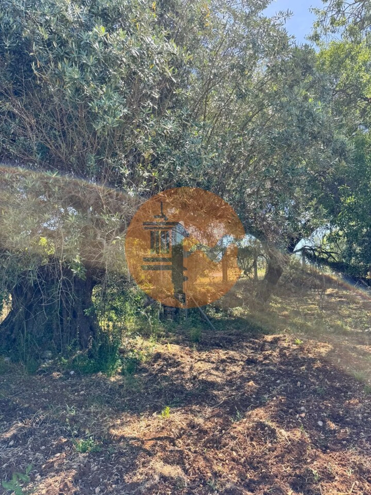 Terreno para Venda em São Brás de Alportel Foto 18