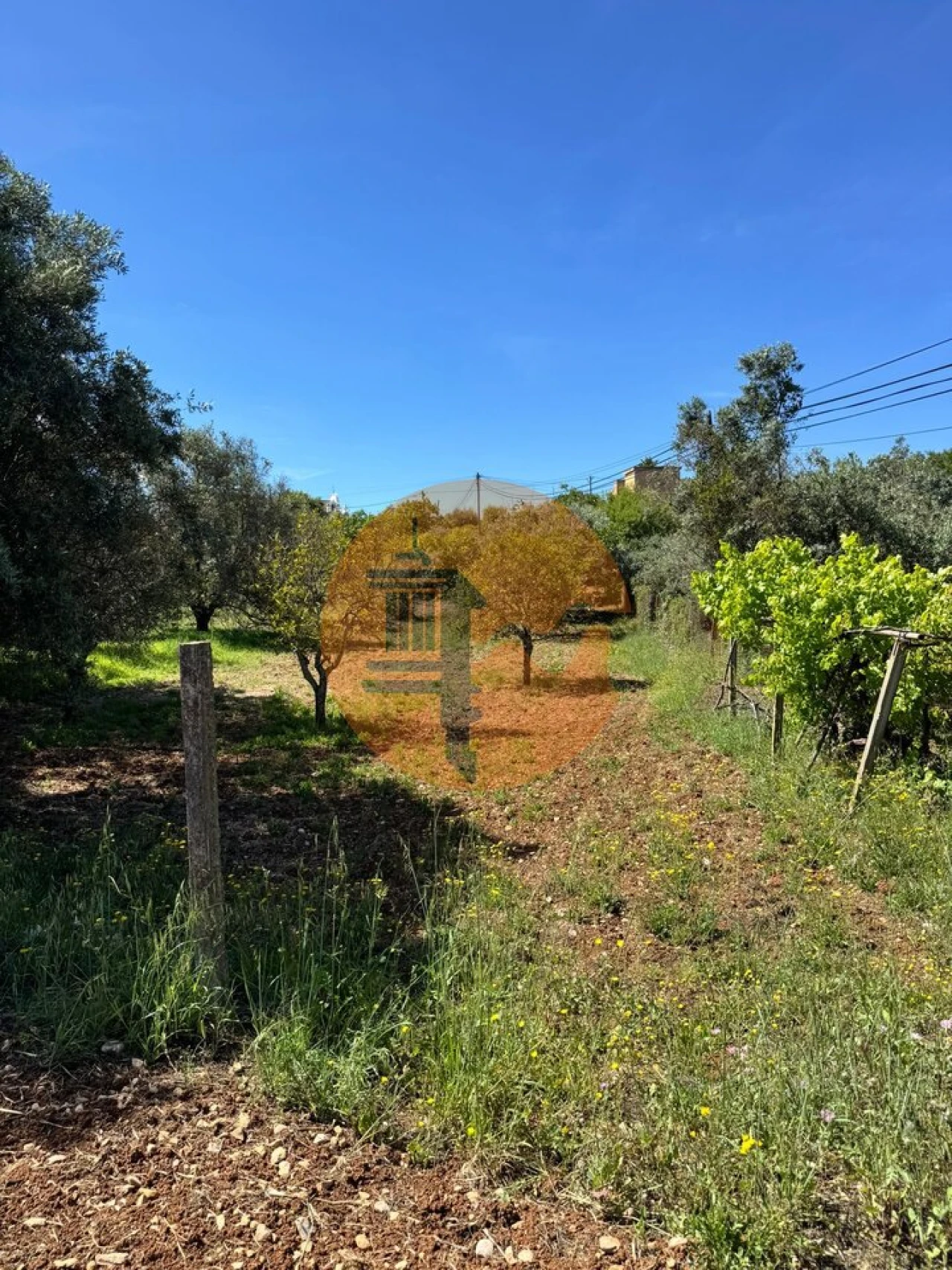 Terreno para Venda em São Brás de Alportel Foto 20