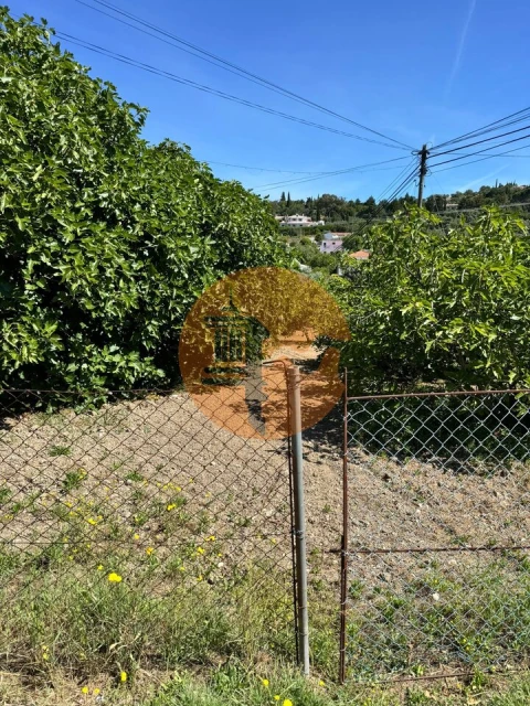 Terreno para Venda em São Brás de Alportel