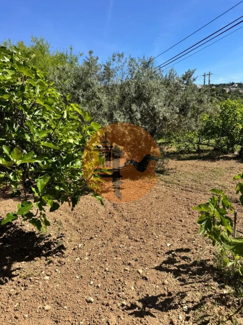 Terreno para Venda em São Brás de Alportel