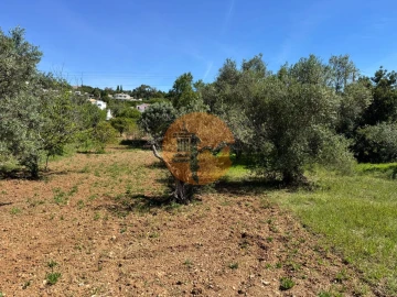 Terreno para Venda em São Brás de Alportel