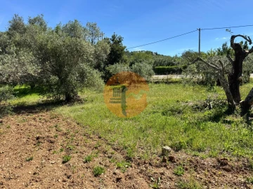 Terreno para Venda em São Brás de Alportel