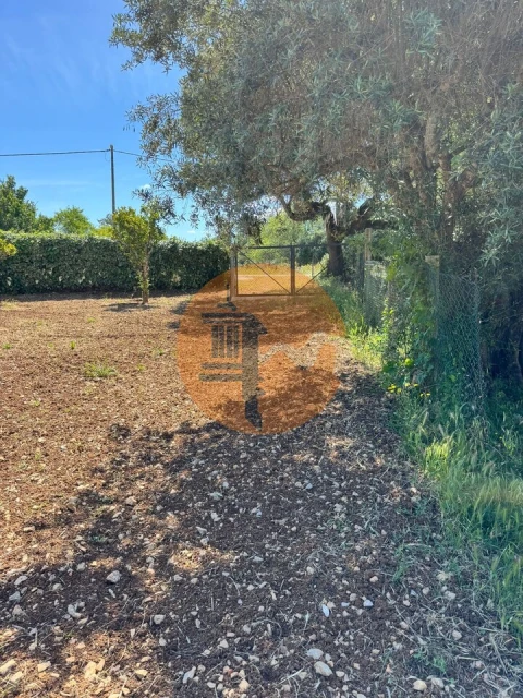 Terreno para Venda em São Brás de Alportel