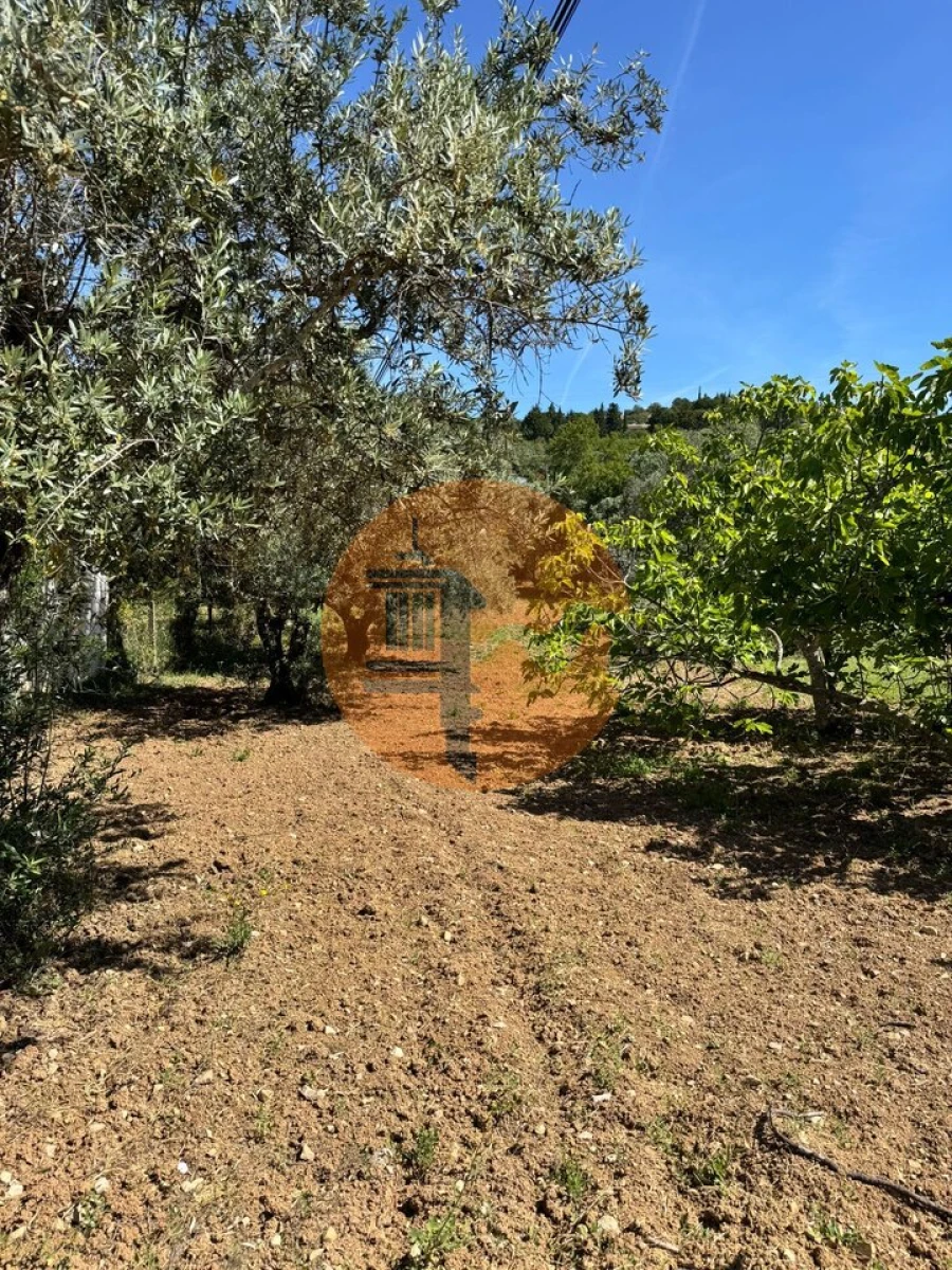 Terreno para Venda em São Brás de Alportel Foto 15