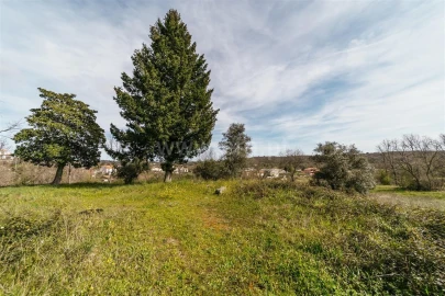 Terreno para Venda em Teixoso e Sarzedo