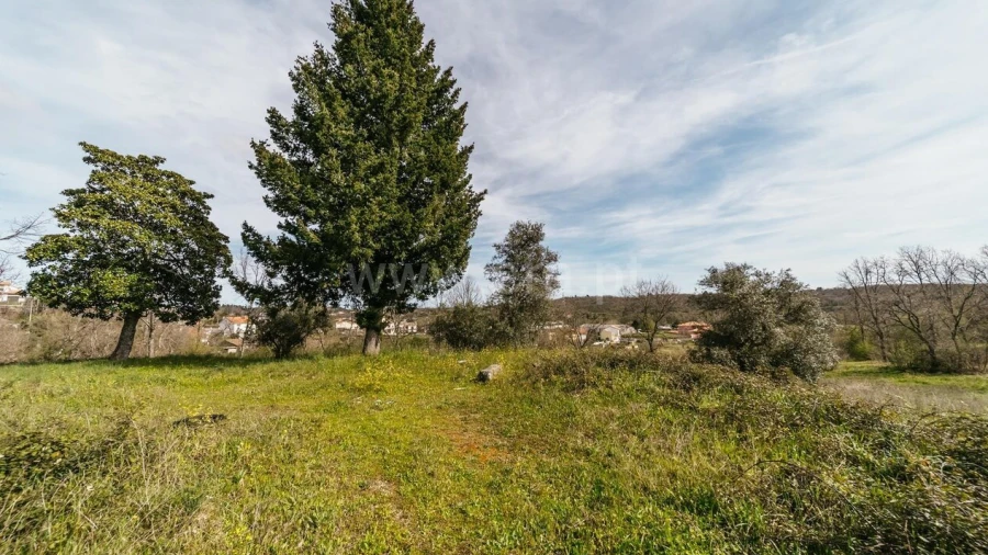 Terreno para Venda em Teixoso e Sarzedo