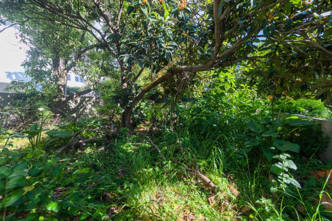 Apartamento T4 para Venda em Oeiras e São Julião da Barra, Paço de Arcos e Caxias Foto 61
